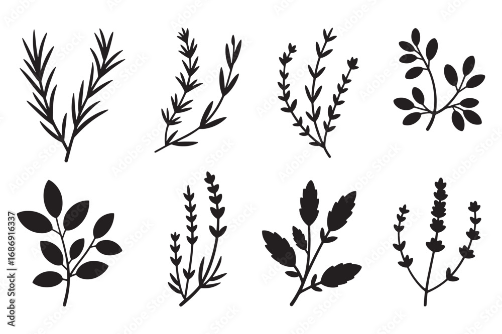 Naklejka premium Collection of black silhouette botanical sprigs and leaves