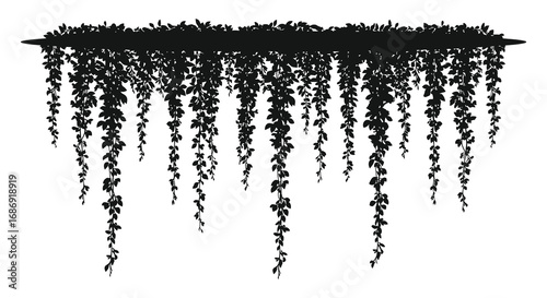 a silhouette of hanging vines cascading from an overhead structure