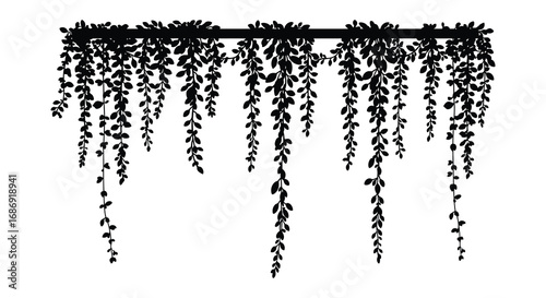 delicate vines hanging gracefully from an overhead branch