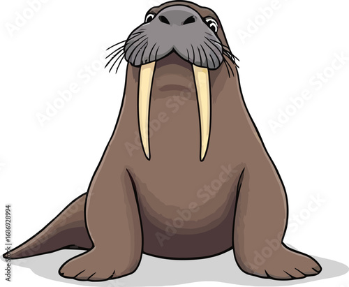 Cute cartoon a illustrator vector walrus