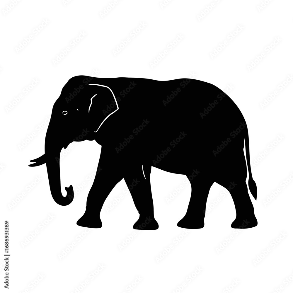 Obraz premium elephant vector illustration