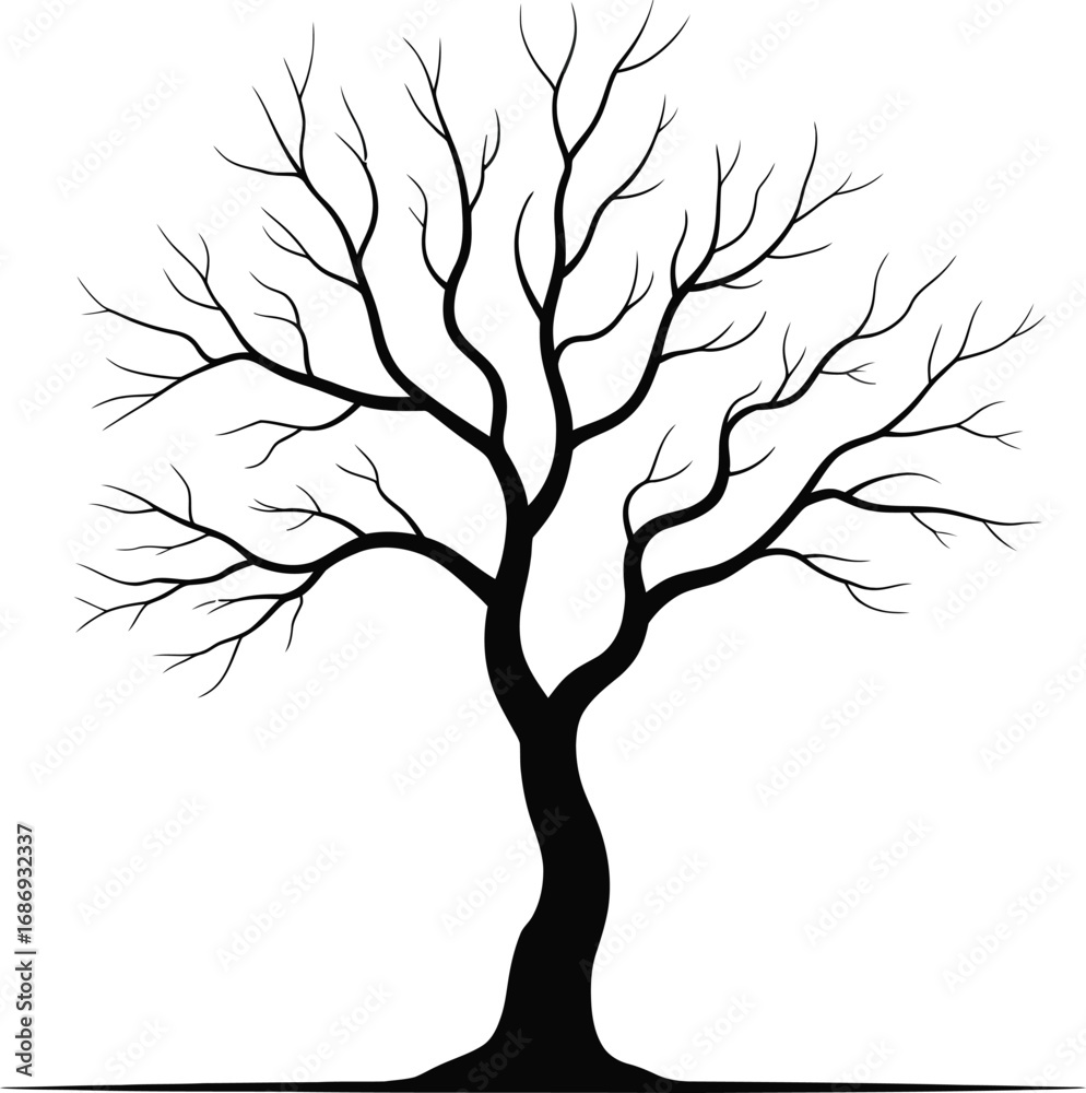 Obraz premium Bare Tree Silhouette Illustration Against White Background Perfect for Graphic Design and Seasonal Imagery Depicting Winter or Autumn with Branches Reaching Skyward