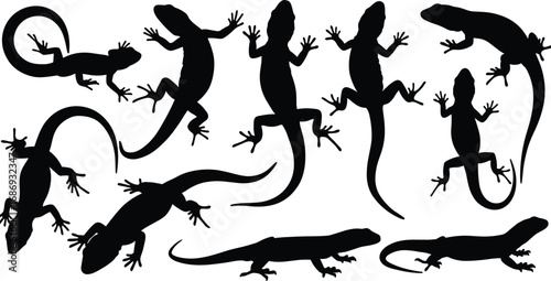 Lizard silhouettes set, reptile vector collection with geckos and iguanas, crawling and climbing lizards isolated illustration for biology or design
