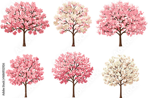 Cherry blossom tree vector set with pink and white flowers for spring season, nature decor, garden illustration, and floral design use