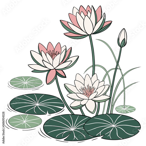 Delicate pink and white water lilies bloom with green lily pads floating on serene water
