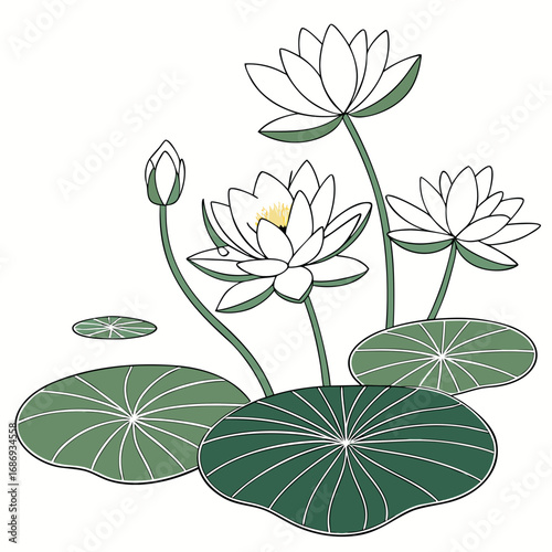 Delicate white water lilies and lily pads in a serene aquatic garden illustration