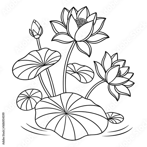 Elegant black and white line art illustration of blooming lotus flowers and lily pads on water