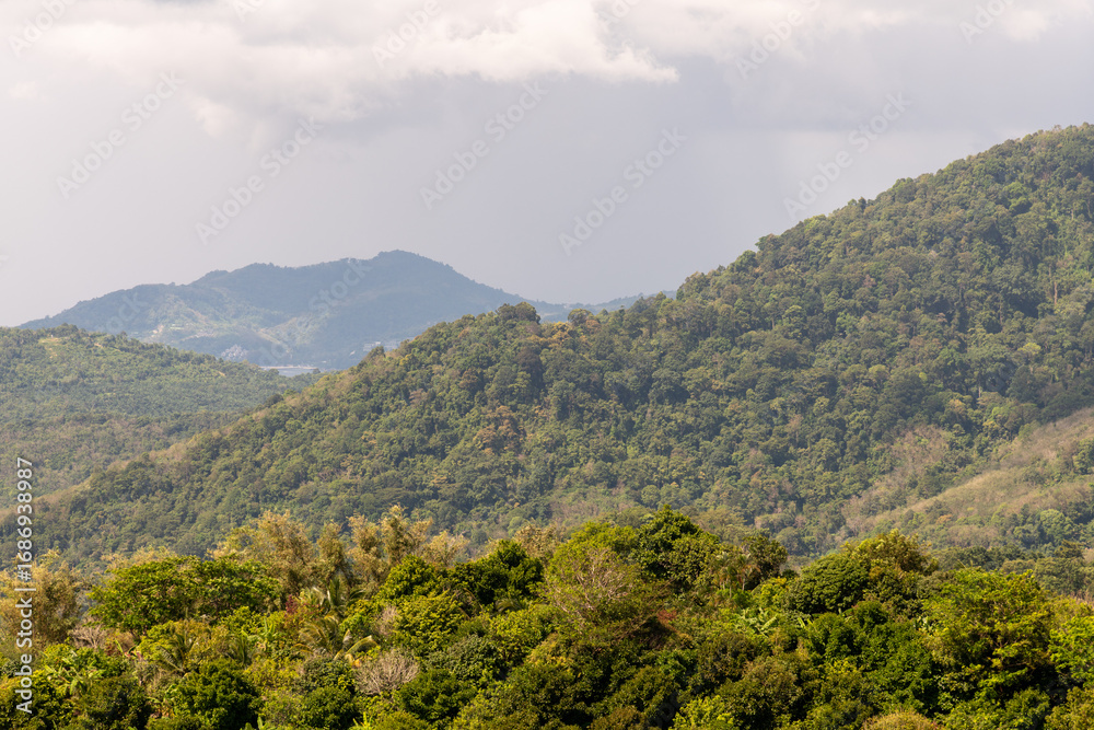 Fototapeta premium Thailand Bangkok Tropical Mountain Forest Landscape