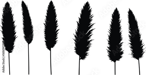 tall grass silhouettes standing upright against clear sky