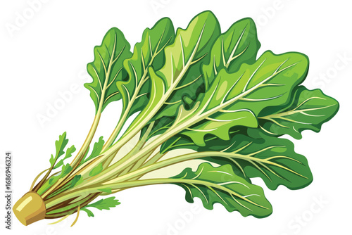 Fresh and Vibrant Bunch of Arugula Leaves A Culinary Delight for Salads and Healthy Eating Experiences in Vector Style