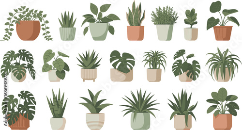 Minimalist vector illustration of 20 indoor potted houseplants, modern flat design clipart for botanical decor, gardening, home projects