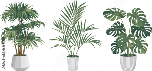 Modern indoor plant illustration set, tropical potted plants Monstera, palm, areca, vector greenery design for home decor and interiors
