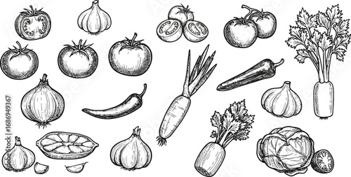 a variety of vegetables drawn in black and white sketches