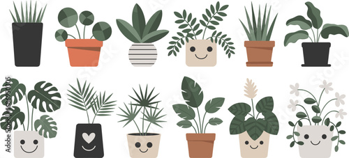 Set of minimalist flat vector potted plants, indoor houseplants in colorful pots, modern botanical clipart for home decor