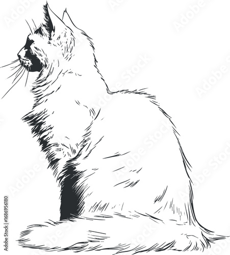 Black and white sketch of a sitting cat in profile view with detailed fur and whiskers