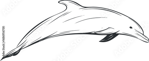 Black and white line drawing illustration of a dolphin swimming in the ocean