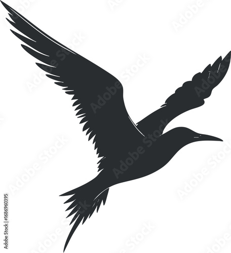 Silhouette of a bird in flight with wings spread wide against a white background