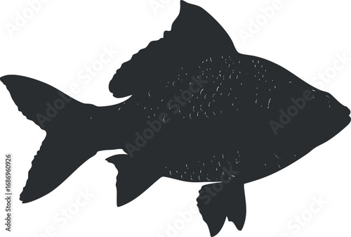 Silhouette of a fish showing fins and scales in black on a white background for aquatic and marine themes