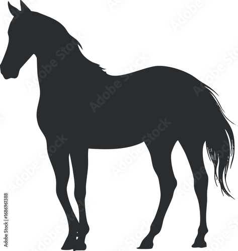 Black silhouette of a standing horse showing its profile with mane and tail details on white background