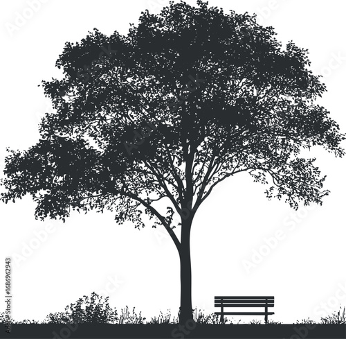 Black silhouette of a large tree with dense foliage next to a wooden park bench on grass