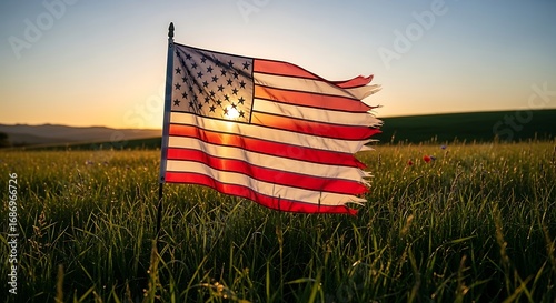 Worn American Flag at Sunset in a Field