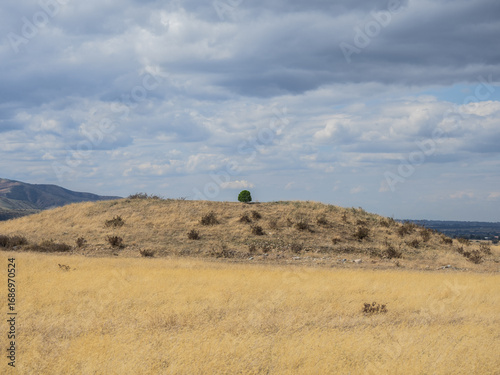 View of the Issyk kurgan in Kazakhastan