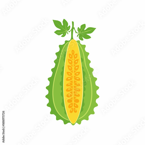 Half cut green bitter melon vegetable illustration with seeds and leaves