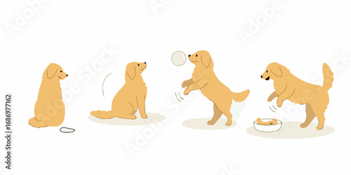 Sequence of a golden retriever dog playing fetch and eating from a bowl