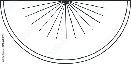 Black and white line drawing of a citrus fruit half slice with detailed segments and rays