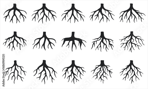 Collection of Tree and Plant Root Systems Icons