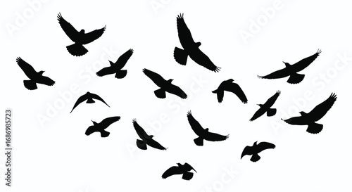 A flock of black bird silhouettes flying in formation on a white background, representing freedom, migration, and teamwork