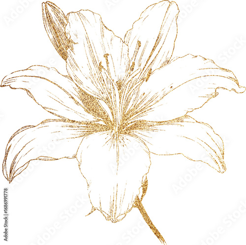 hand drawn golden glitter lily flower