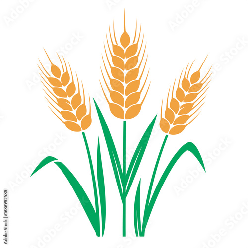 Golden Wheat Stalks Vector Illustration