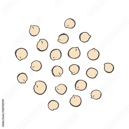 Hand drawn quinoa seeds illustration. Doodle quinoa illustration. Quinoa seeds sketch.