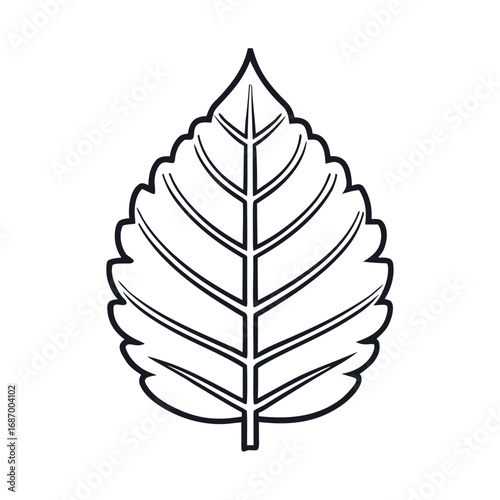 Elegant elm tree outline design on a clean white background