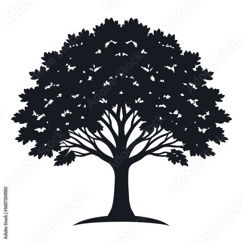 Elegant elm tree silhouette on a clean white background