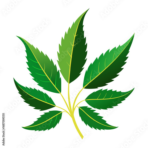 Vibrant neem tree illustration on a clean white background