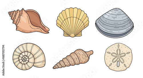 Diverse Seashell Collection Illustration, Perfect for Marine Biology Education, Coastal Decor, and Summer Themed Design Projects, Enhancing Beach Inspired Creations