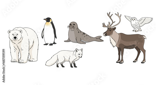 Collection of Arctic Animals Illustration for Educational Purposes. Perfect for children's books, nature guides, and conservation awareness campaigns, showcasing the biodiversity of the Arctic region.