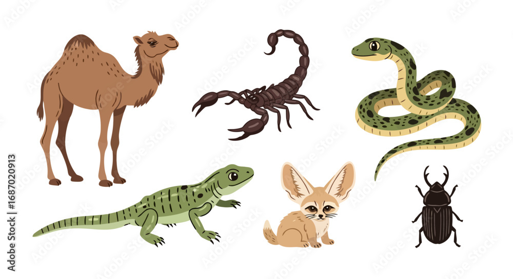 Obraz premium Desert wildlife animal vector illustration. Suitable for educational materials, wildlife conservation designs, and ecological presentations.