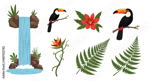 Tropical rainforest elements including toucans, waterfalls, flowers, and ferns for use in creating jungle-themed designs and educational materials.