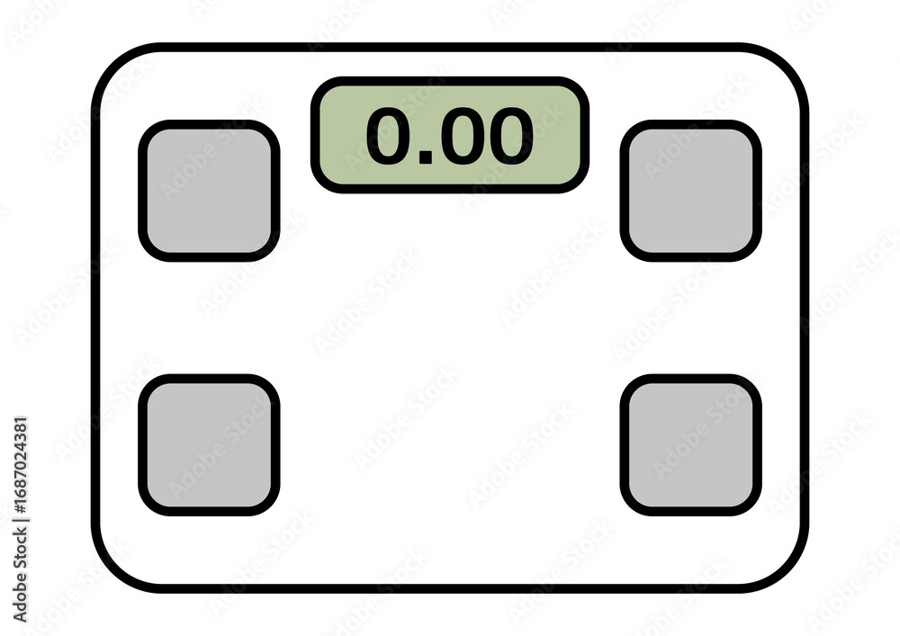 Electronic Scale Interface with Digital Screen