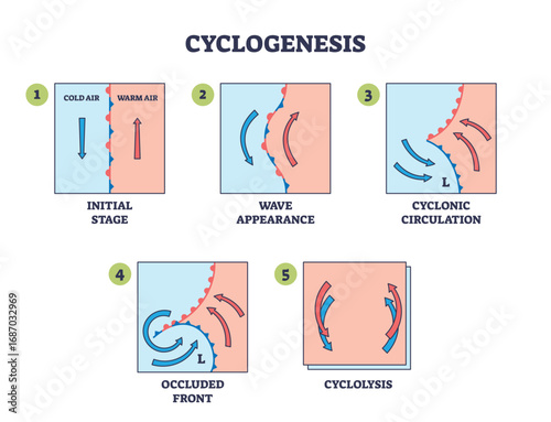 Cyclogenesis shows the formation of cyclones, highlighting cold and warm air fronts, wave patterns, and circulation. Outline diagram