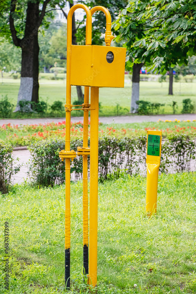 Fototapeta premium Bright yellow water access point in a green park setting during