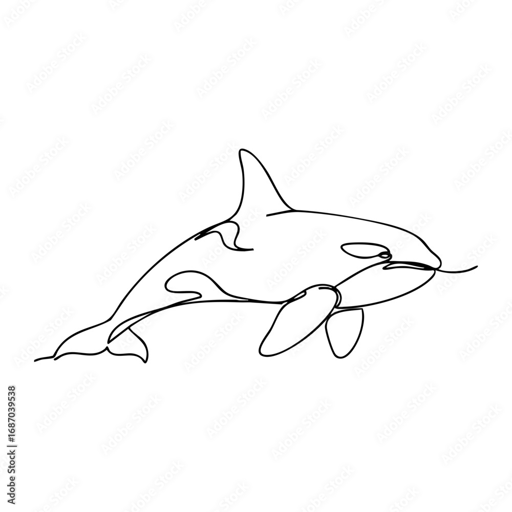 Obraz premium orca killer whale vector