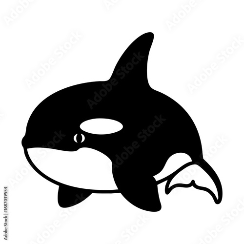 orca killer whale vector