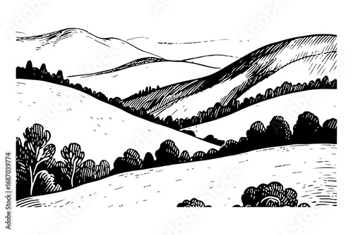 Vector engraving style illustration of a A landscape of rolling hills
