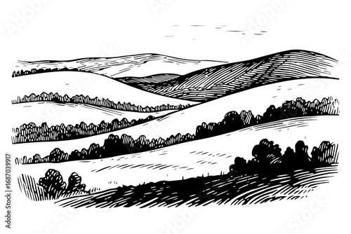 Vector engraving style illustration of a A landscape of rolling hills