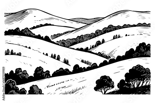 Vector engraving style illustration of a A landscape of rolling hills