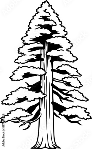 redwood tree line art silhouette vector illustration